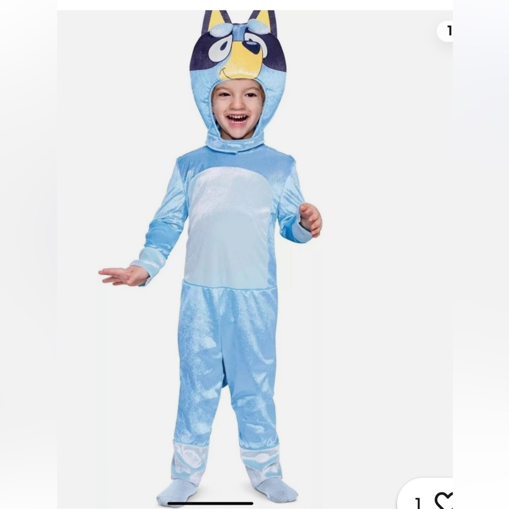 Bluey Cartoon Halloween Costume